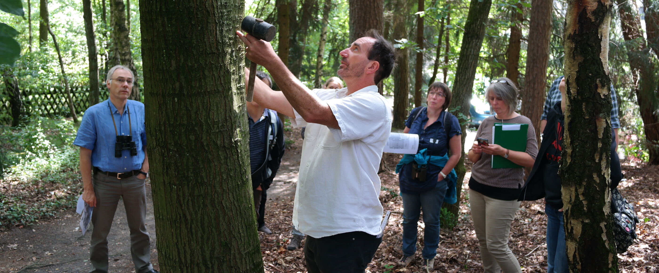 biodiversitaet-baumuntersuchung